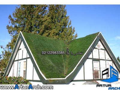 green roof